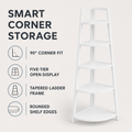 EMOOTTOO 70" Tall Modern Corner Ladder Shelf