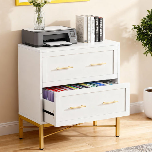 Emoottoo Modern White 2 Drawer File Cabinet, Lateral Filing Cabinet for Letter/Legal/A4 Size, Wood File Storage Cabinets Printer Stand with Storage for Home, Office, White and Gold