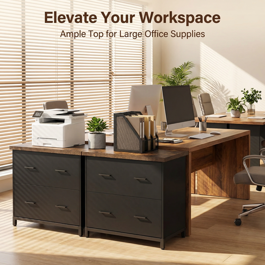 Emoottoo 2-Drawer Lateral File Cabinet, Rustic Wood Filing Cabinet for Home Office, A4/Letter Size, Printer Stand with Storage & Heavy-Duty Steel Frame, Brown & Black